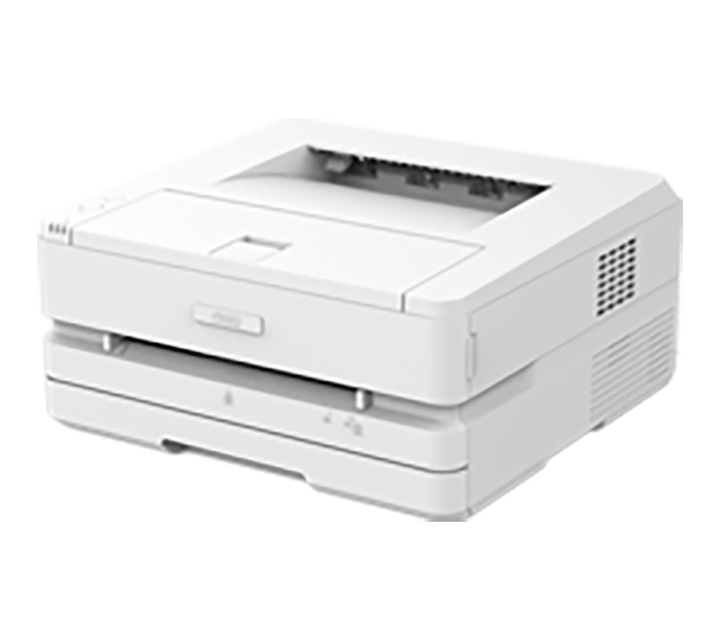 P2500DW